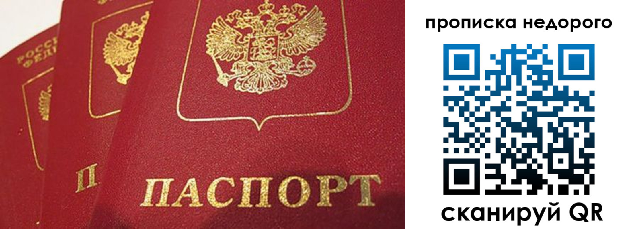 регистрация для школы в Кировске